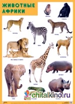Животные Африки: Плакат