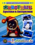 Животные Арктики и Антарктики: 16 обучающих карточек