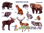 Животные России: Плакат