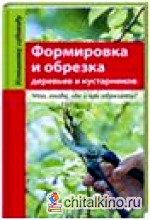 Формировка и обрезка деревьев и кустарников