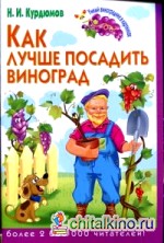 Как лучше посадить виноград