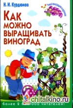 Как можно выращивать виноград