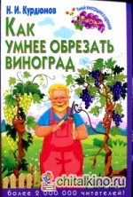 Как умнее обрезать виноград