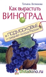 Как вырастить виноград в Подмосковье и средней полосе России