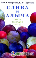 Слива и алыча: Сорта, посадка, уход