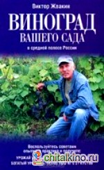 Виноград вашего сада в средней полосе России