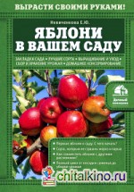 Яблони в вашем саду