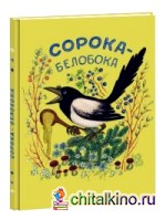 Сорока-белобока