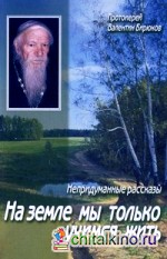 На земле мы только учимся жить: Непридуманные рассказы