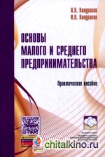 Основы малого и среднего предпринимательства: Практическое пособие