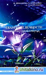 Евангелие вечности: Провозвестие всетворца. Книга 2