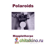 Robert Mapplethorpe: Polaroids