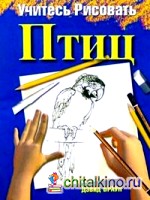 Учитесь рисовать птиц