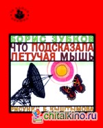 Что подсказала летучая мышь