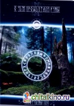 О чем прошептали руны?