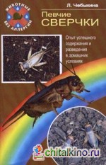 Певчие сверчки