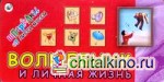 Волшебник и Личная жизнь