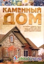 Каменный дом