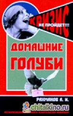 Домашние голуби