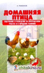 Домашняя птица: Содержание и разведение на приусадебном участке и в городских условиях