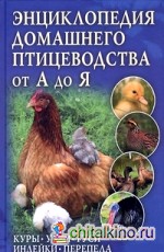 Энциклопедия домашнего птицеводства от А до Я: Куры, утки, гуси, индейки, перепела