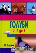 Голуби от А до Я