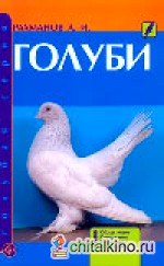 Голуби
