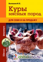 Куры мясных пород