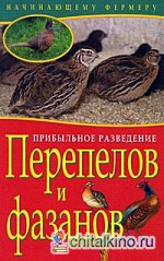 Прибыльное разведение перепелов и фазанов