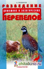 Разведение домашних и экзотических перепелов