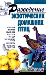 Разведение экзотических домашних птиц
