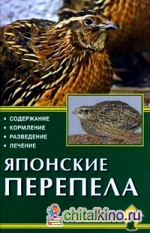 Японские перепела: Содержание, кормление, разведение, лечение