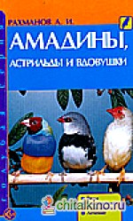 Амадины, астрильды и вдовушки