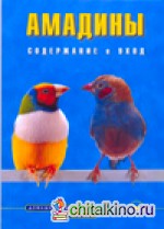 Амадины