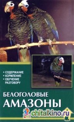 Белоголовые амазоны