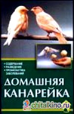 Домашняя канарейка: Содержание. Разведение. Профилактика заболеваний