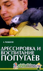 Дрессировка и воспитание попугаев