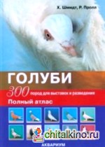 Голуби: 300 пород для выставок и разведения