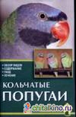Кольчатые попугаи