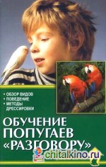 Обучение попугаев «разговору»: Обзор видов. Поведение. Методы дрессировки