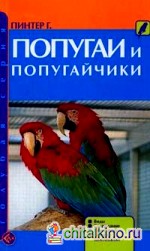 Попугаи и попугайчики