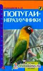 Попугаи-неразлучники