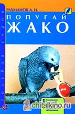 Попугай жако