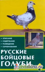 Русские бойцовые голуби: Описание. Содержание. Разведение. Соревнования