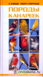 Самые популярные породы канареек