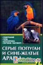 Серые попугаи и сине-желтые арары