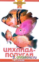 Цихлида-попугай