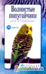 Волнистые попугайчики