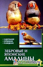 Зебровые и японские амадины: Содержание. Кормление. Разведение