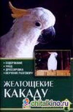 Желтощекие какаду